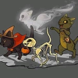 Meet your Posher, Reyes